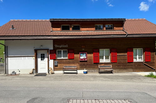 Foto 77 - Apartamento de 4 quartos em Habkern com jardim e vista para a montanha