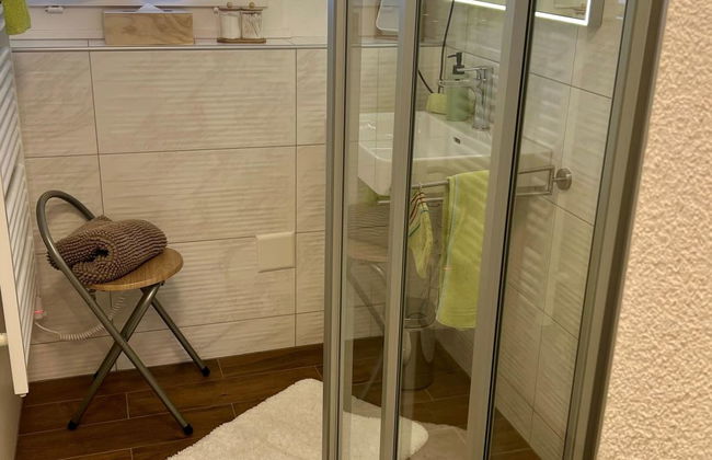 Apartamento de 4 quartos em Habkern com jardim e banheira de hidromassagem - Foto 43