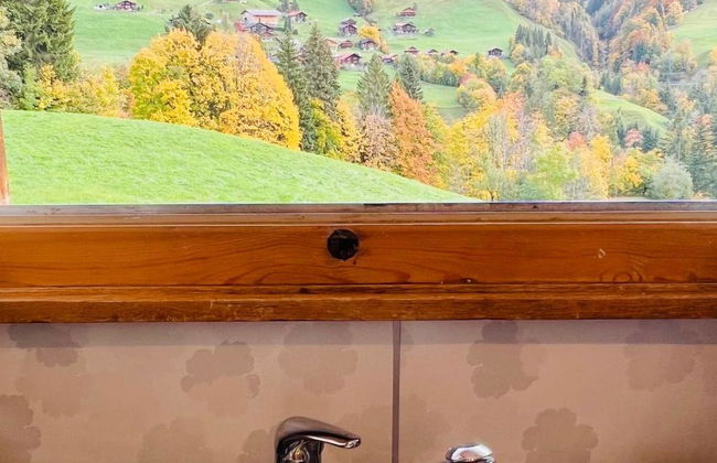 Apartamento de 4 quartos em Habkern com jardim e banheira de hidromassagem - Foto 10