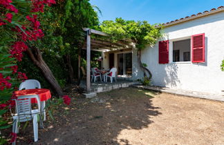 Photo 3 - Maison de 2 chambres à Linguizzetta avec jardin et vues à la mer