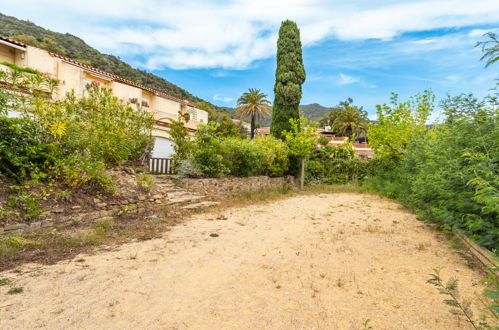 Photo 20 - Apartment in Le Lavandou with swimming pool and garden