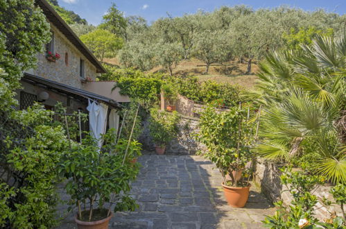 Photo 17 - Maison de 4 chambres à Pescia avec piscine privée et terrasse