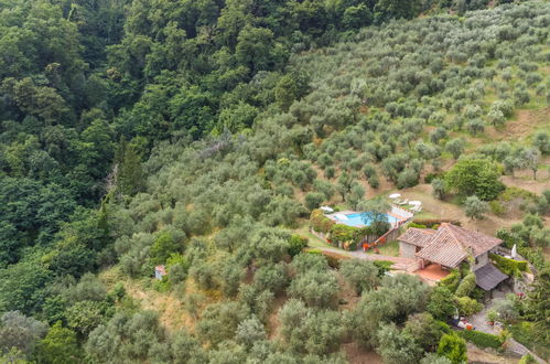 Foto 79 - Casa de 4 quartos em Pescia com piscina privada e jardim