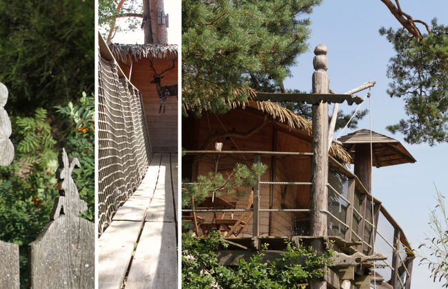 Casa de 3 quartos em Meyrignac-l'Église com piscina e terraço - Foto 49