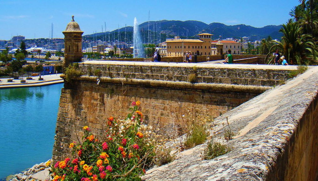 PalmaBus Tour - Departing from the North Area - Foto 1