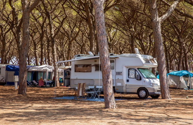 Gitavillage California - Foto 11