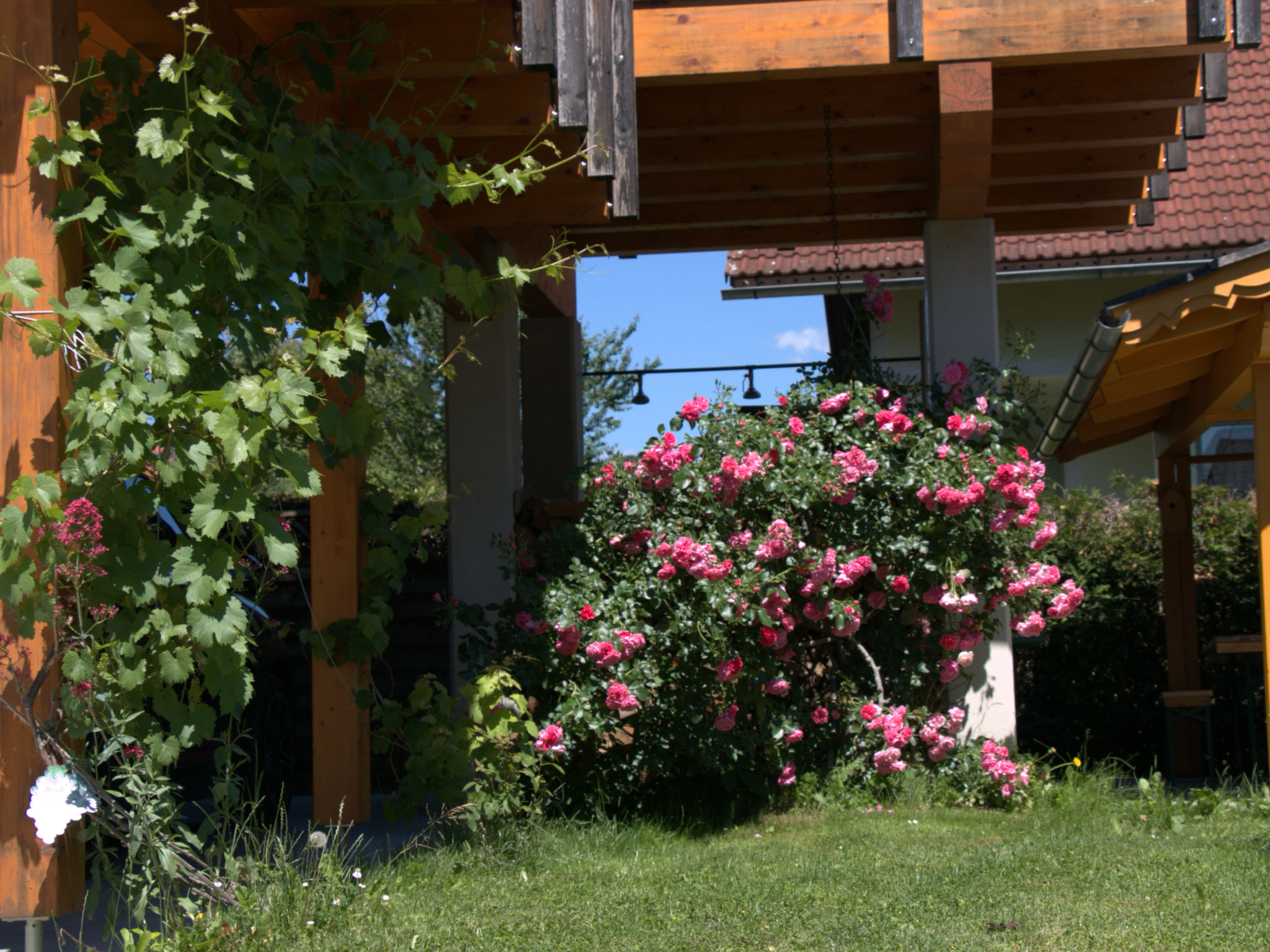 Photo 40 - Appartement de 3 chambres à Ligist avec piscine privée et jardin