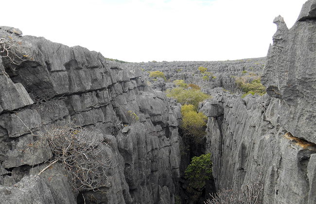 Parc national d'Ankarana - Photo 5