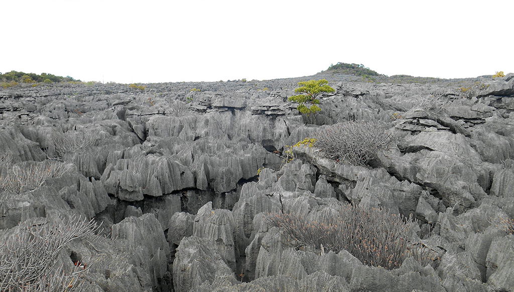 Ankarana National Park - Photo 1