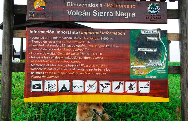 Excursión al Volcán Sierra Negra - Foto 6