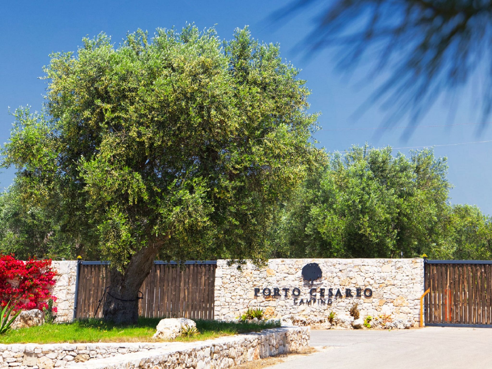 Photo 16 - Maison de 2 chambres à Porto Cesareo avec piscine et jardin