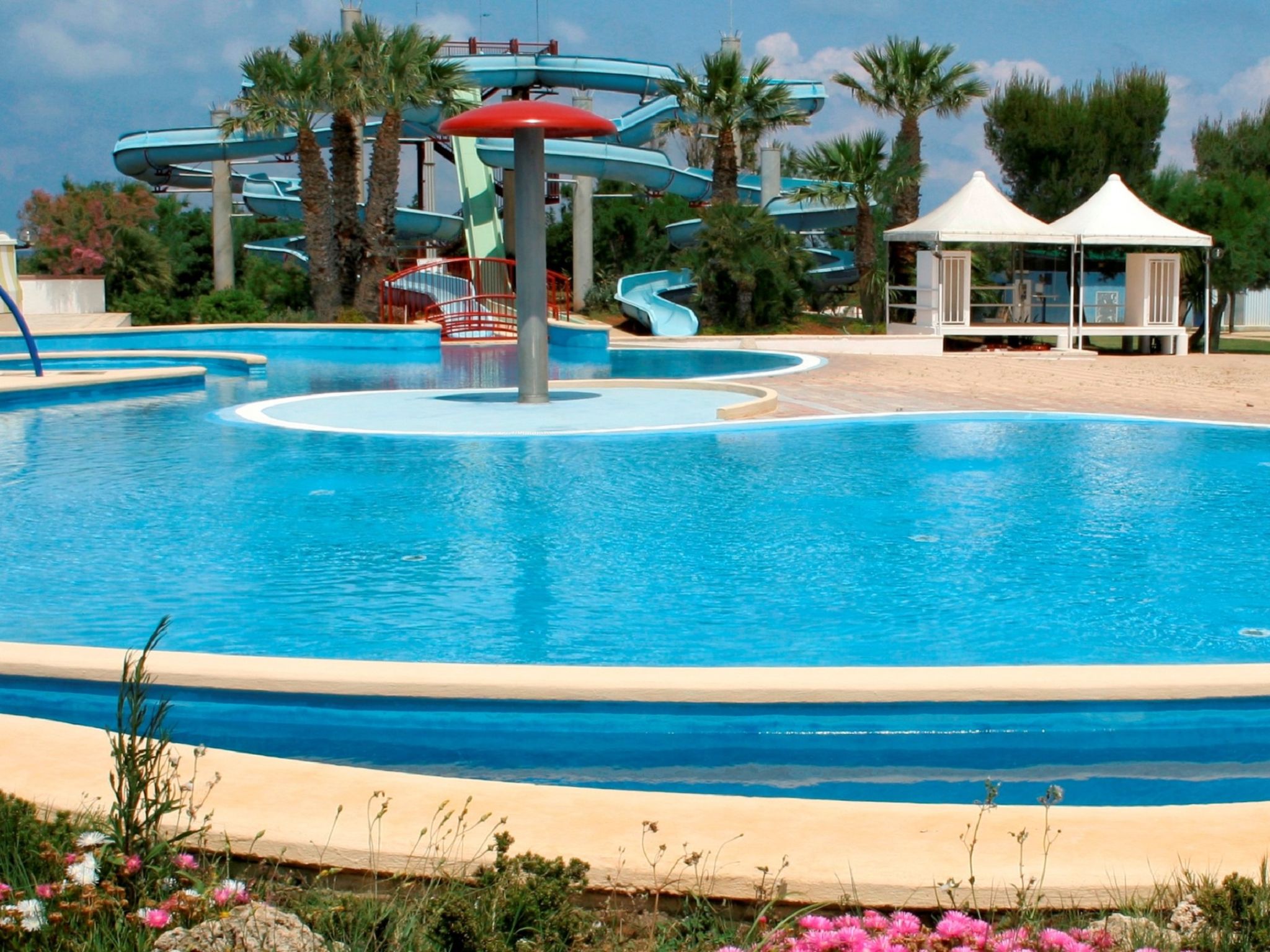 Photo 1 - Maison de 3 chambres à Carovigno avec piscine et vues à la mer