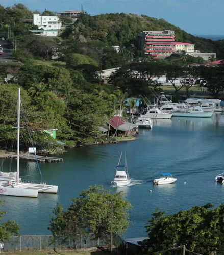 Foto de Travesía en catamarán por la bahía de Marigot