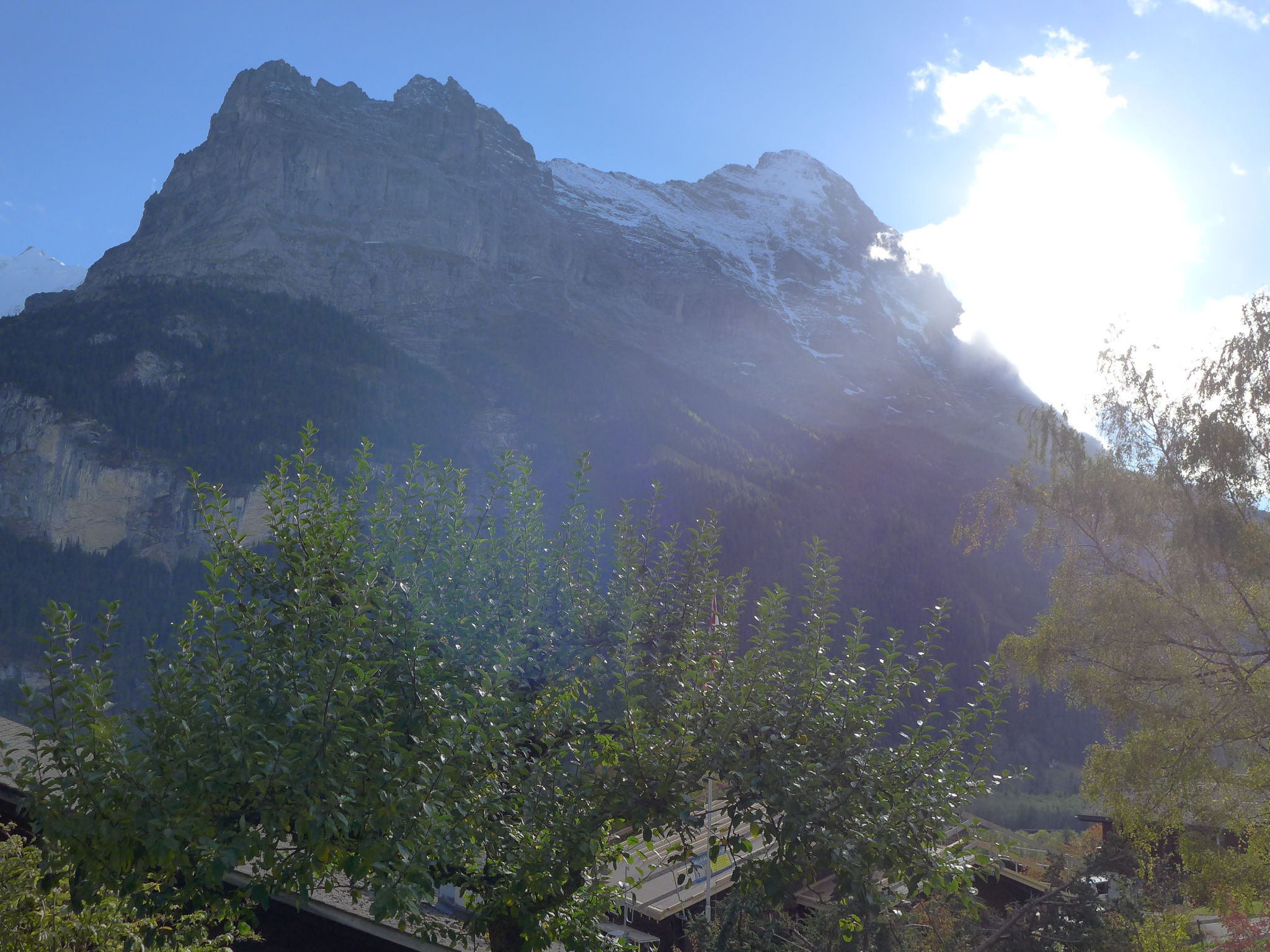 Foto 40 - Apartamento de 1 habitación en Grindelwald con vistas a la montaña