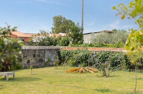 Photo 19 - Maison de 3 chambres à Serpa avec jardin et terrasse