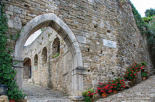 Foto 36 - Casa con 3 camere da letto a Motovun con piscina privata e giardino