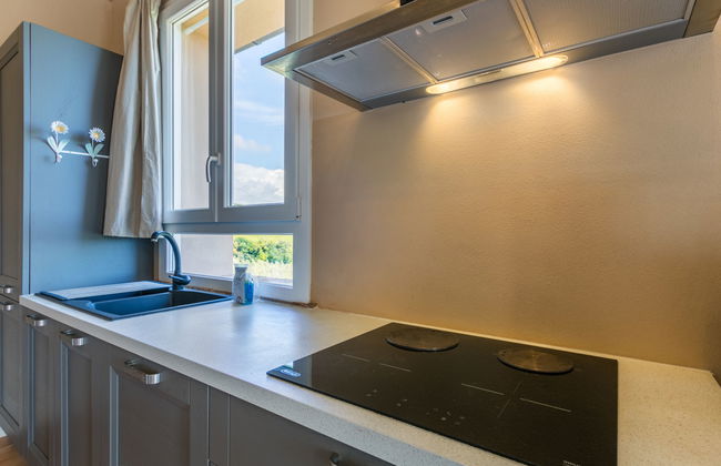 Maison de 4 chambres à Bibbona avec piscine privée et jardin - Photo 16