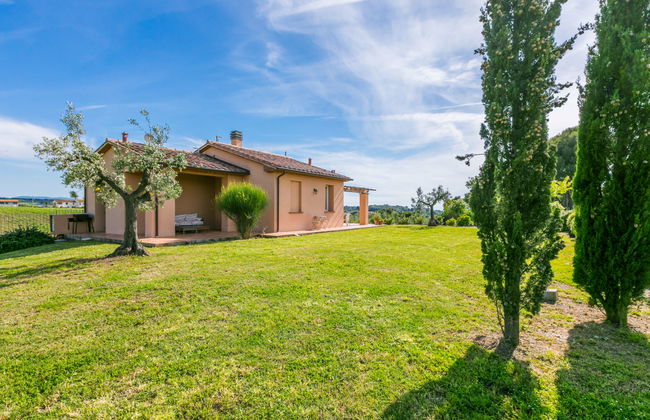 Maison de 4 chambres à Bibbona avec piscine privée et jardin - Photo 66