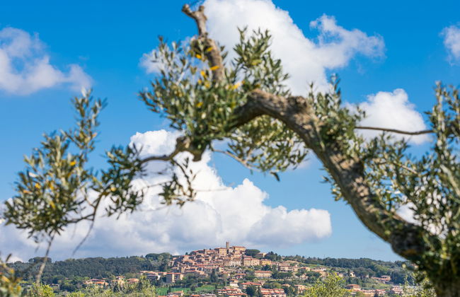 Maison de 4 chambres à Bibbona avec piscine privée et jardin - Photo 71