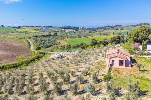 Foto 49 - Casa con 2 camere da letto a Bibbona con terrazza e vista mare