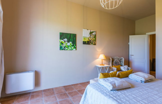 Maison de 4 chambres à Bibbona avec piscine privée et jardin - Photo 34