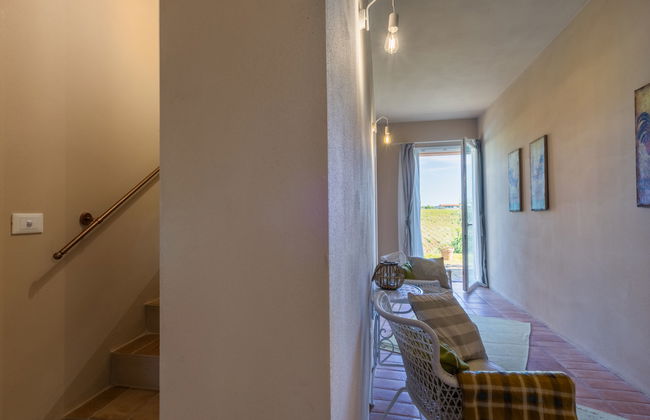 Maison de 4 chambres à Bibbona avec piscine privée et jardin - Photo 46