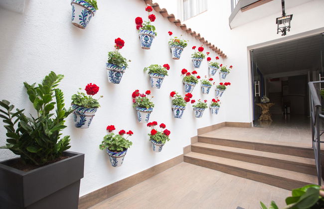 Apartamentos Neptuno Calella - Foto 32