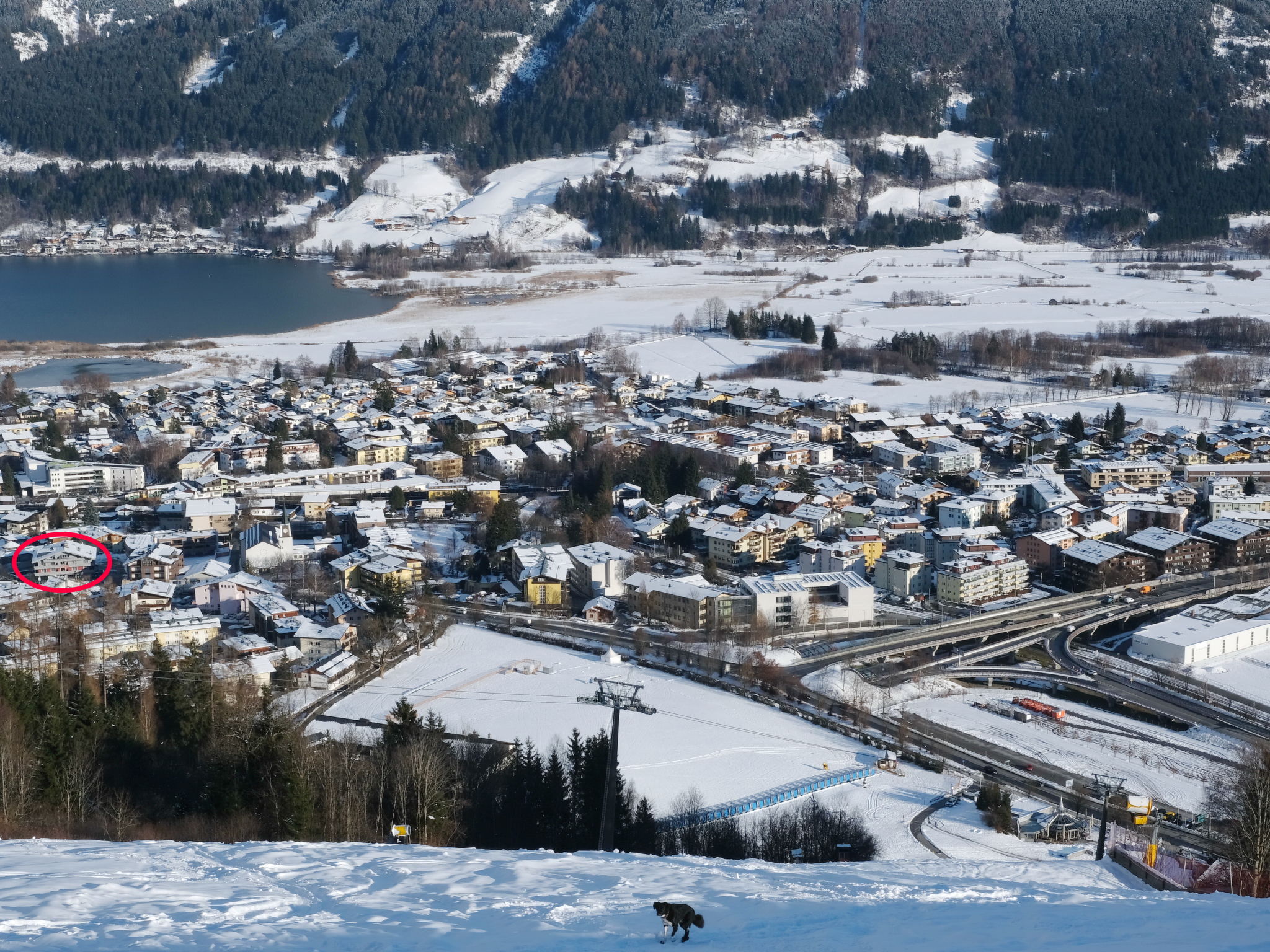 Photo 28 - Appartement de 2 chambres à Zell am See avec sauna et vues sur la montagne