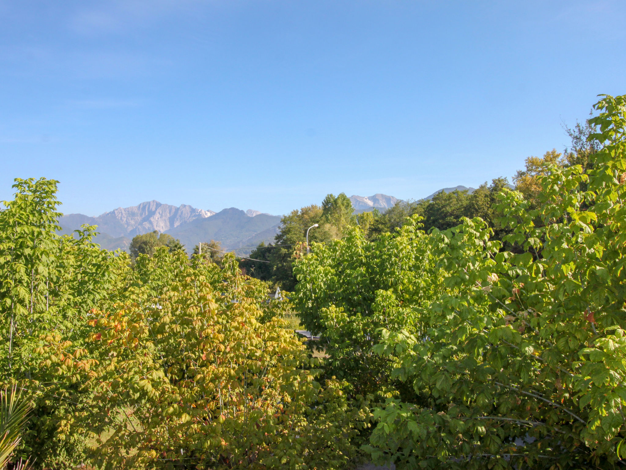 Photo 27 - 2 bedroom Apartment in Pietrasanta with garden and sea view