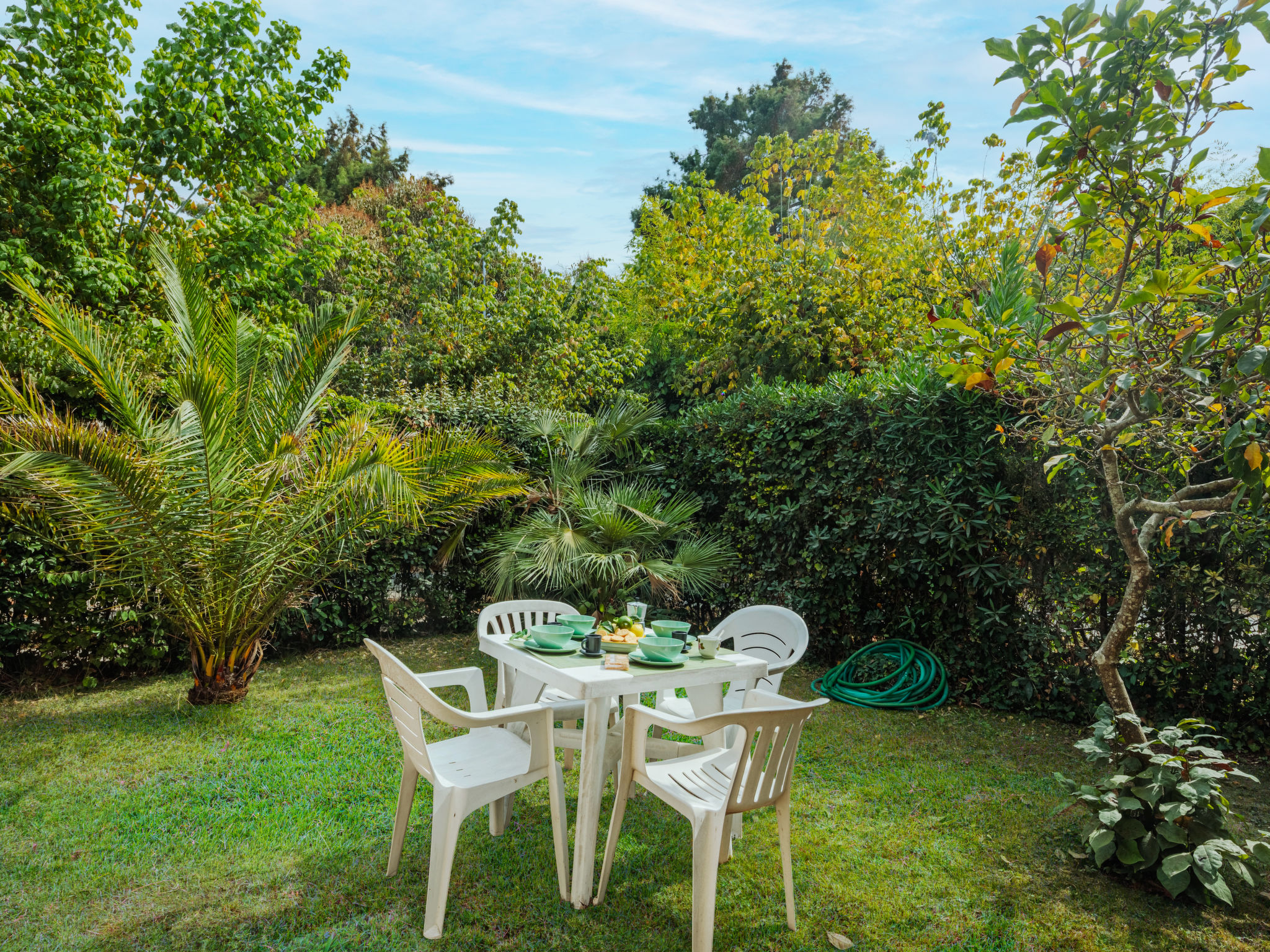 Photo 3 - Appartement de 2 chambres à Pietrasanta avec jardin