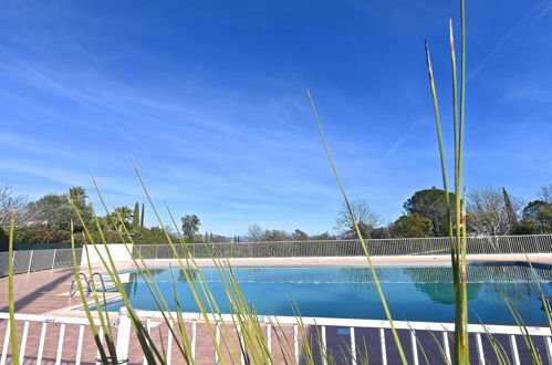 Foto 20 - Haus mit 2 Schlafzimmern in Roquebrune-sur-Argens mit schwimmbad und garten