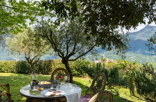 Photo 24 - 2 bedroom House in Camaiore with private pool and garden