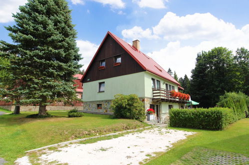 Foto 24 - Appartamento con 2 camere da letto a Harrachov con piscina e giardino