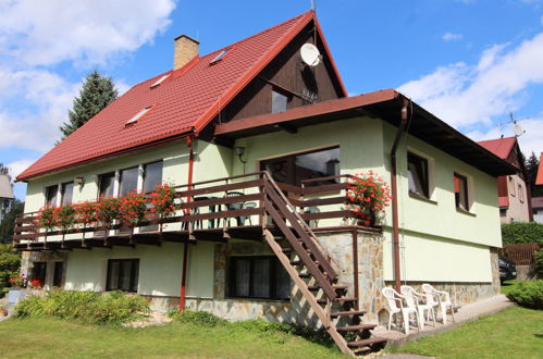 Foto 20 - Appartamento con 2 camere da letto a Harrachov con piscina e giardino