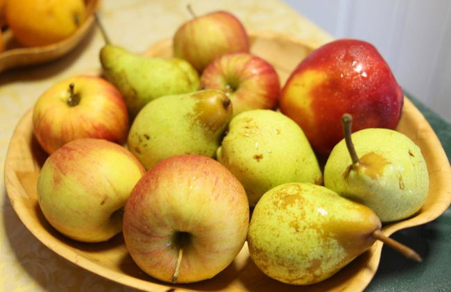 Nautilus Aparthotel - Foto 19