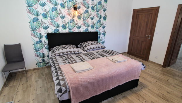 Appartamento con 1 camera da letto a Županovice con piscina e giardino - Foto 3