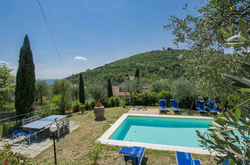 Foto 56 - Haus mit 4 Schlafzimmern in Monsummano Terme mit privater pool und garten