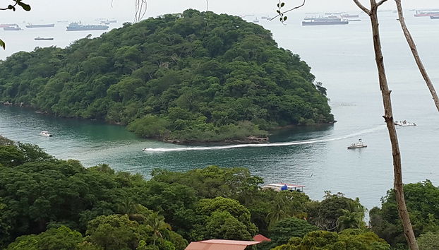 Taboga Island - Full-Day Tour - Foto 3