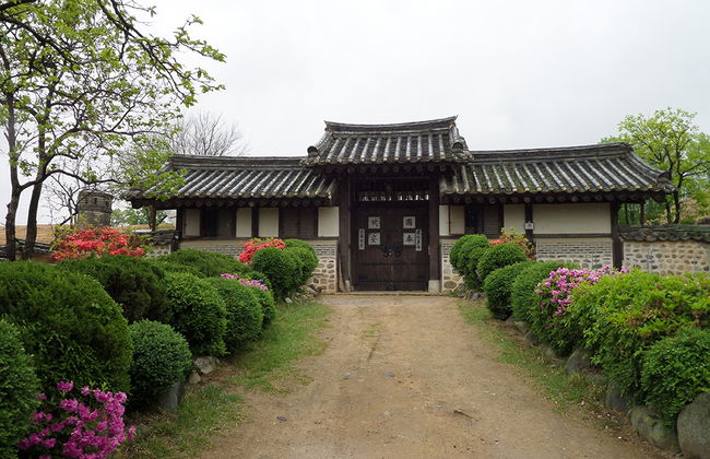 Andong Hahoe Dorf und Andong Folk Museum - Ganztägige Privattour - Foto 4