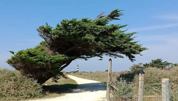 Olydea Oléron les Sables Vignier - Foto 3