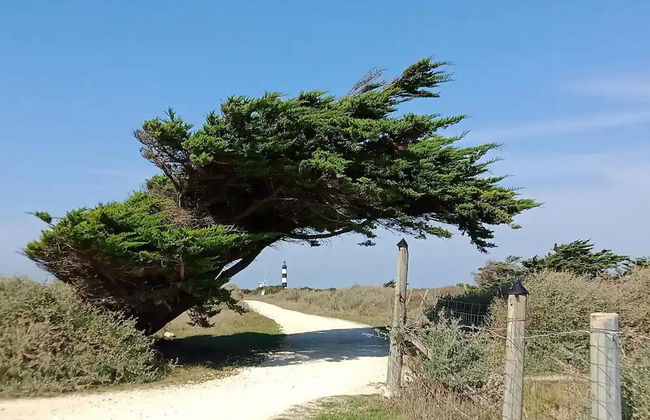 Olydea Oléron les Sables Vignier - Foto 3