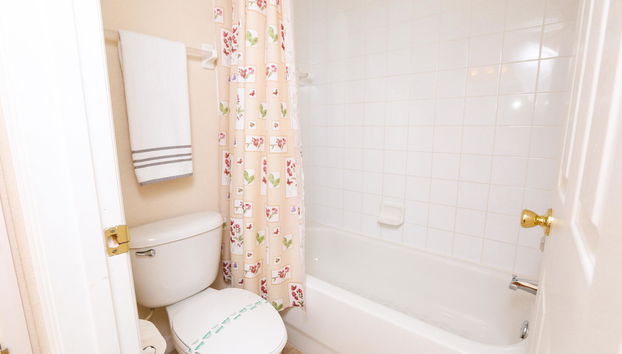 Disney Area Executive Plus Homes - Foto 4