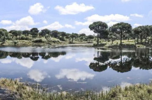 Foto 44 - Casa de 3 quartos em Alcácer do Sal com piscina e jardim