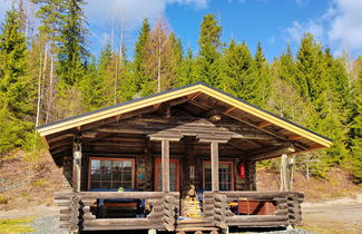 Foto 3 - Haus mit 1 Schlafzimmer in Joutsa mit sauna