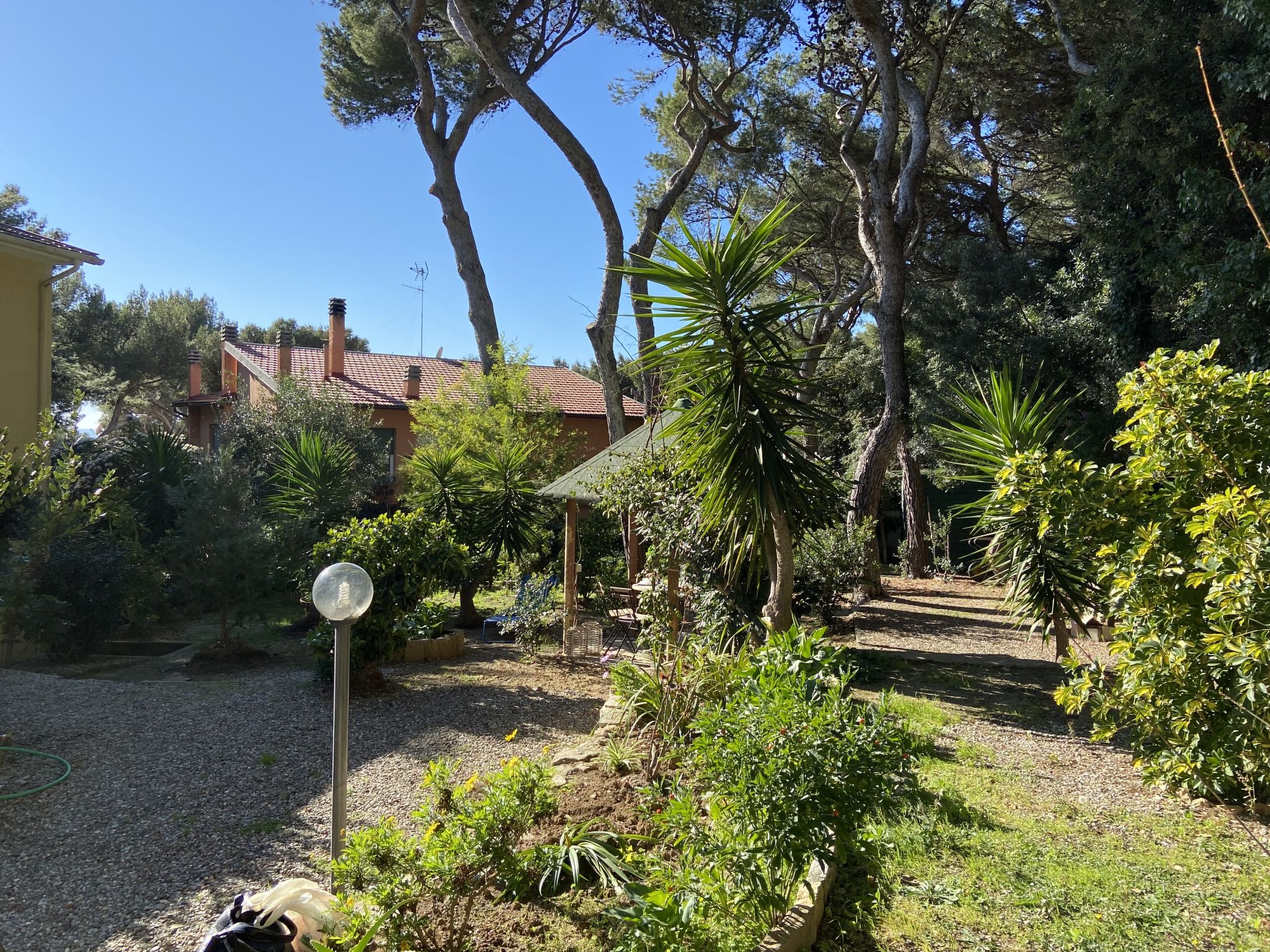 Photo 35 - Appartement de 2 chambres à Rosignano Marittimo avec jardin et vues à la mer