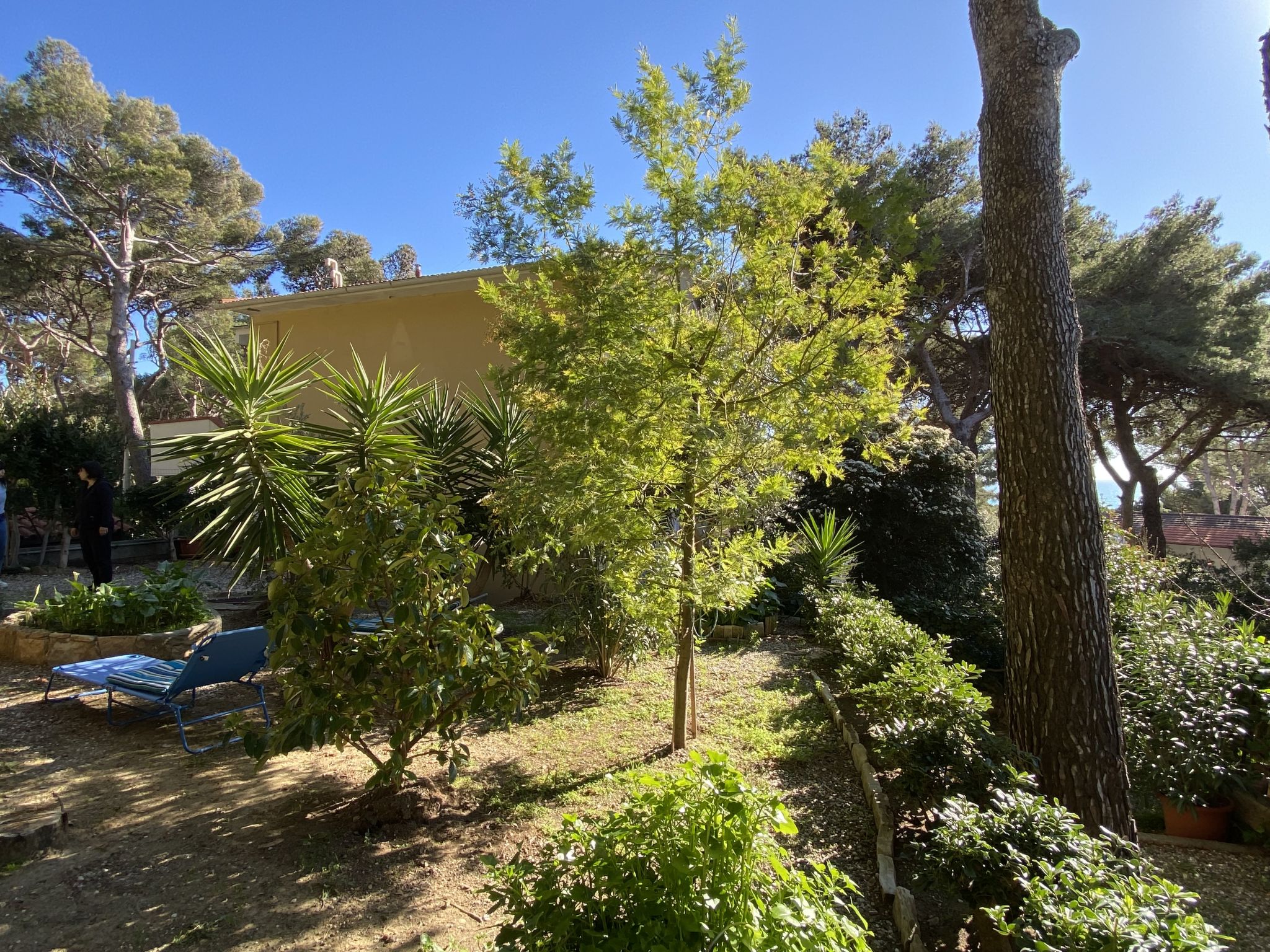 Photo 31 - Appartement de 2 chambres à Rosignano Marittimo avec jardin