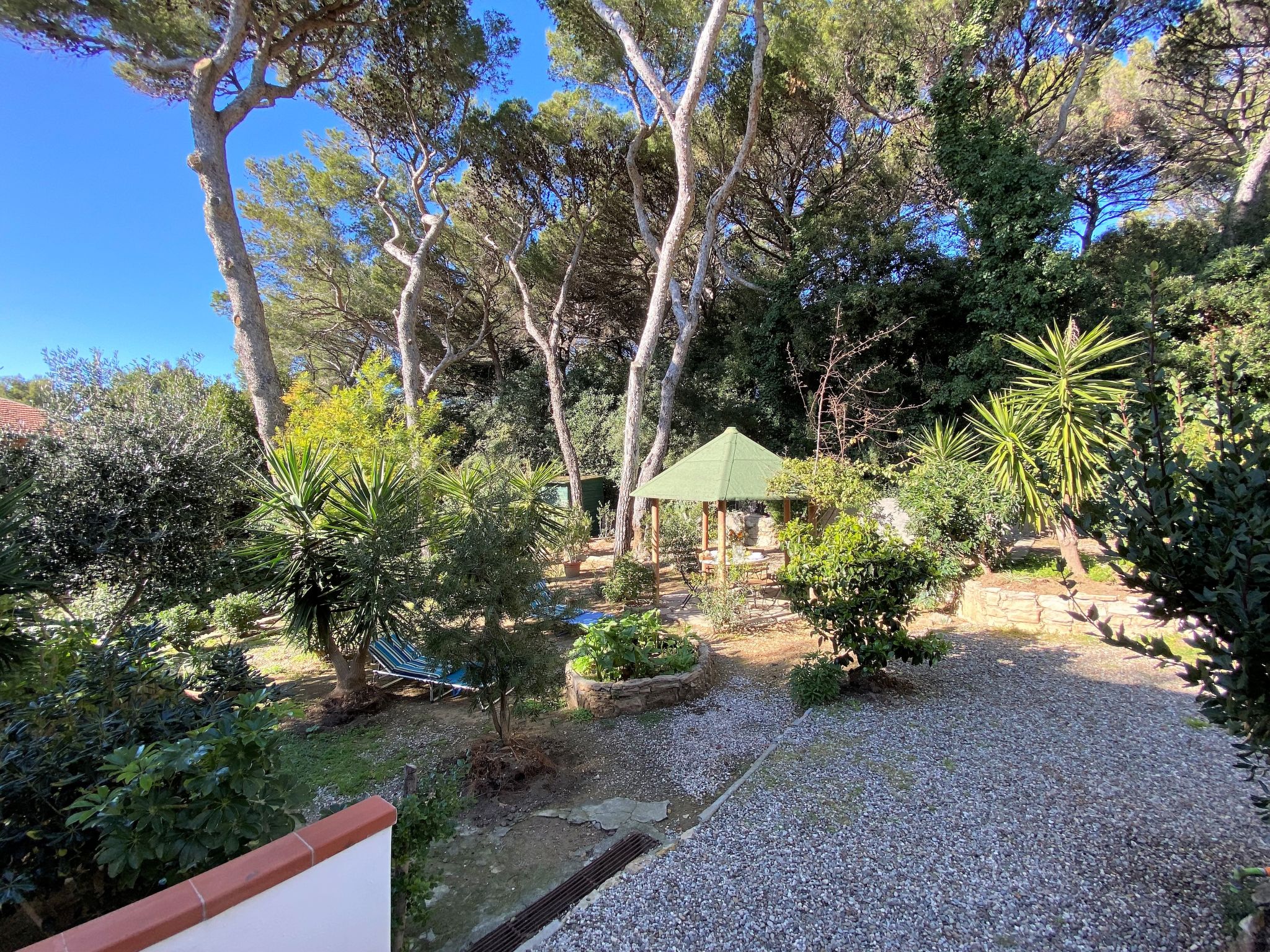 Photo 3 - Appartement de 2 chambres à Rosignano Marittimo avec jardin et vues à la mer