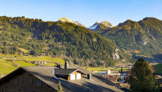 Apartment mit 1 Schlafzimmer in Zweisimmen - Foto 2