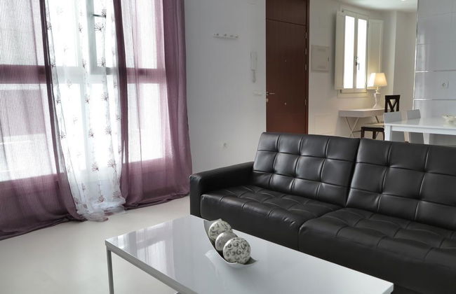 Casa Palacio Cadiz - Foto 10
