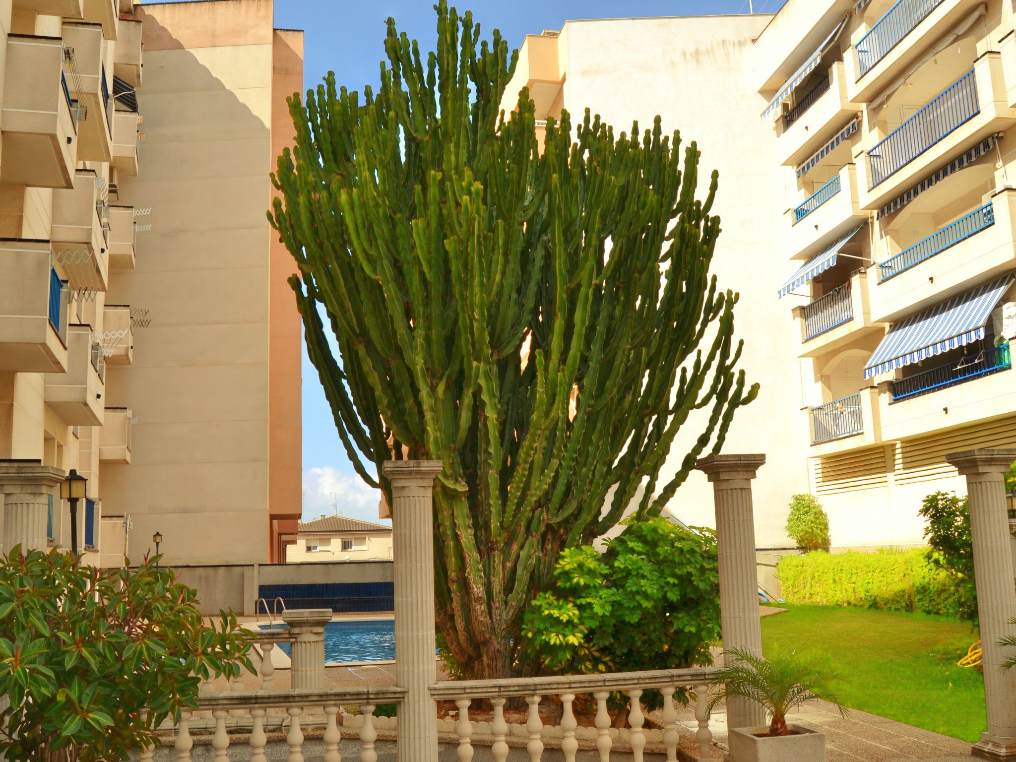 Photo 22 - 2 bedroom Apartment in La Ràpita with swimming pool and sea view